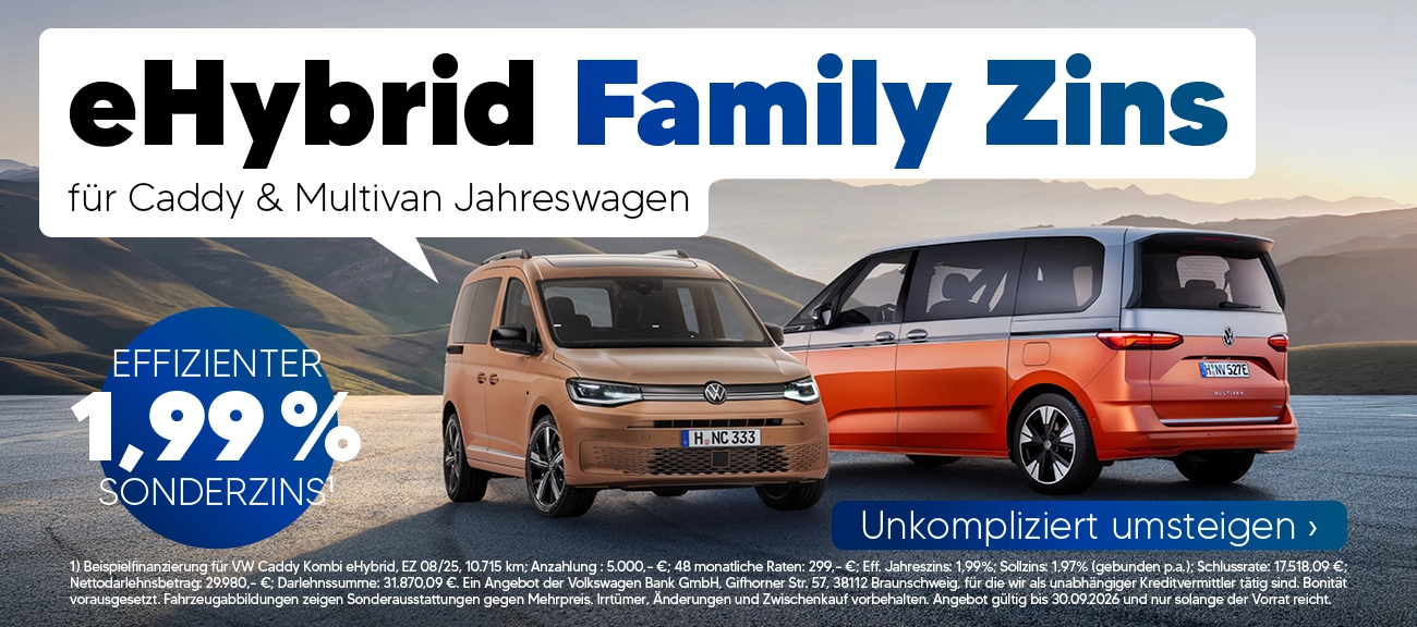 VW NFZ Hybrid Jahreswagen