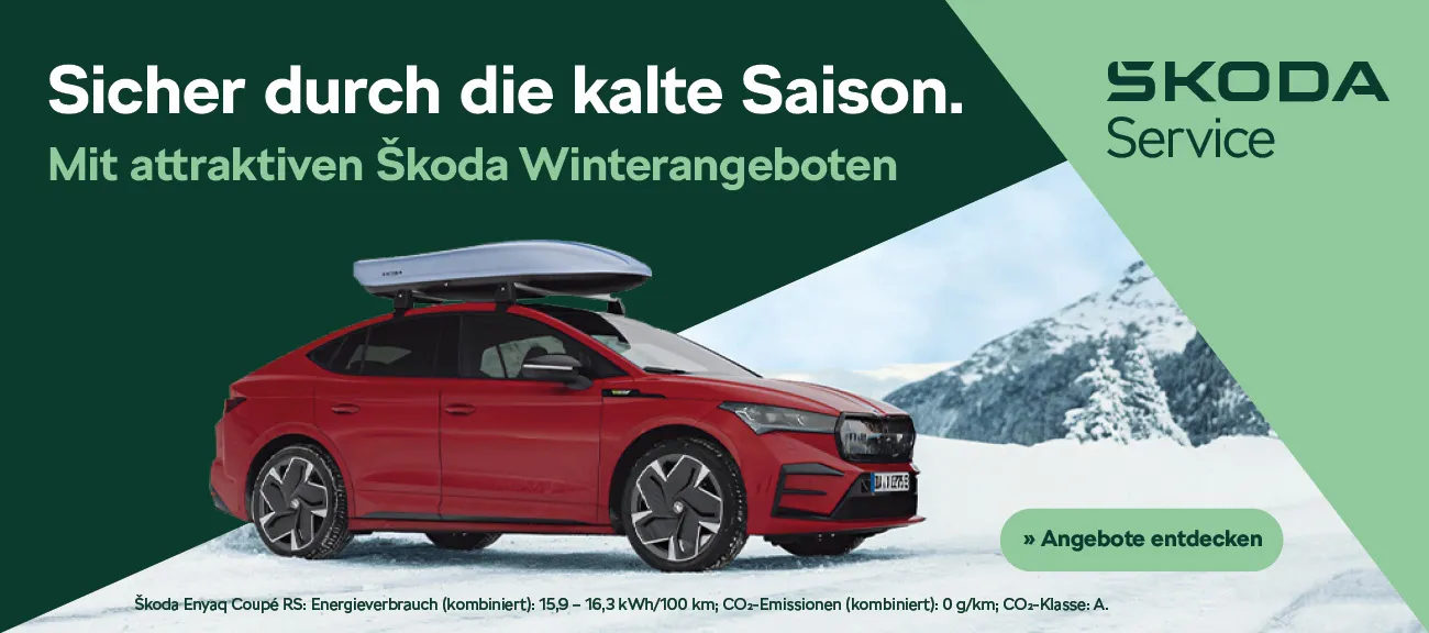 Škoda Winter Service Angebote