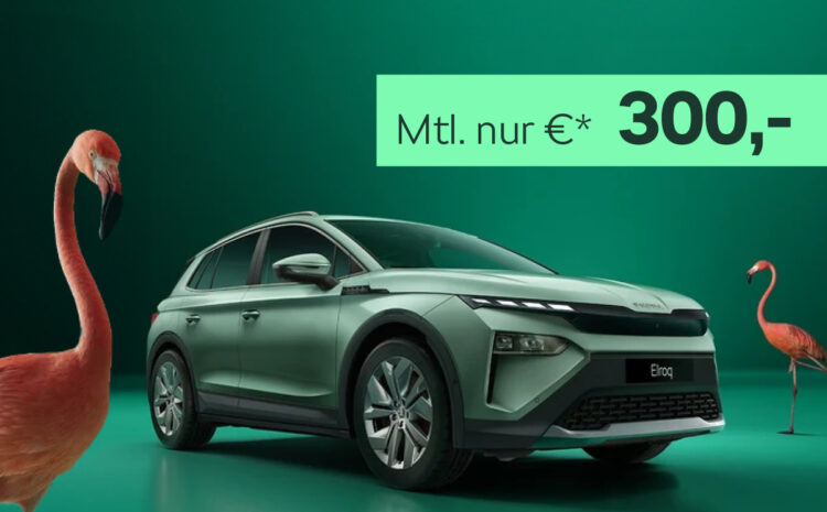  Der neue Skoda ELROQ